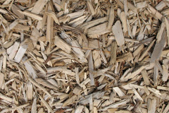 biomass boilers Duntulm